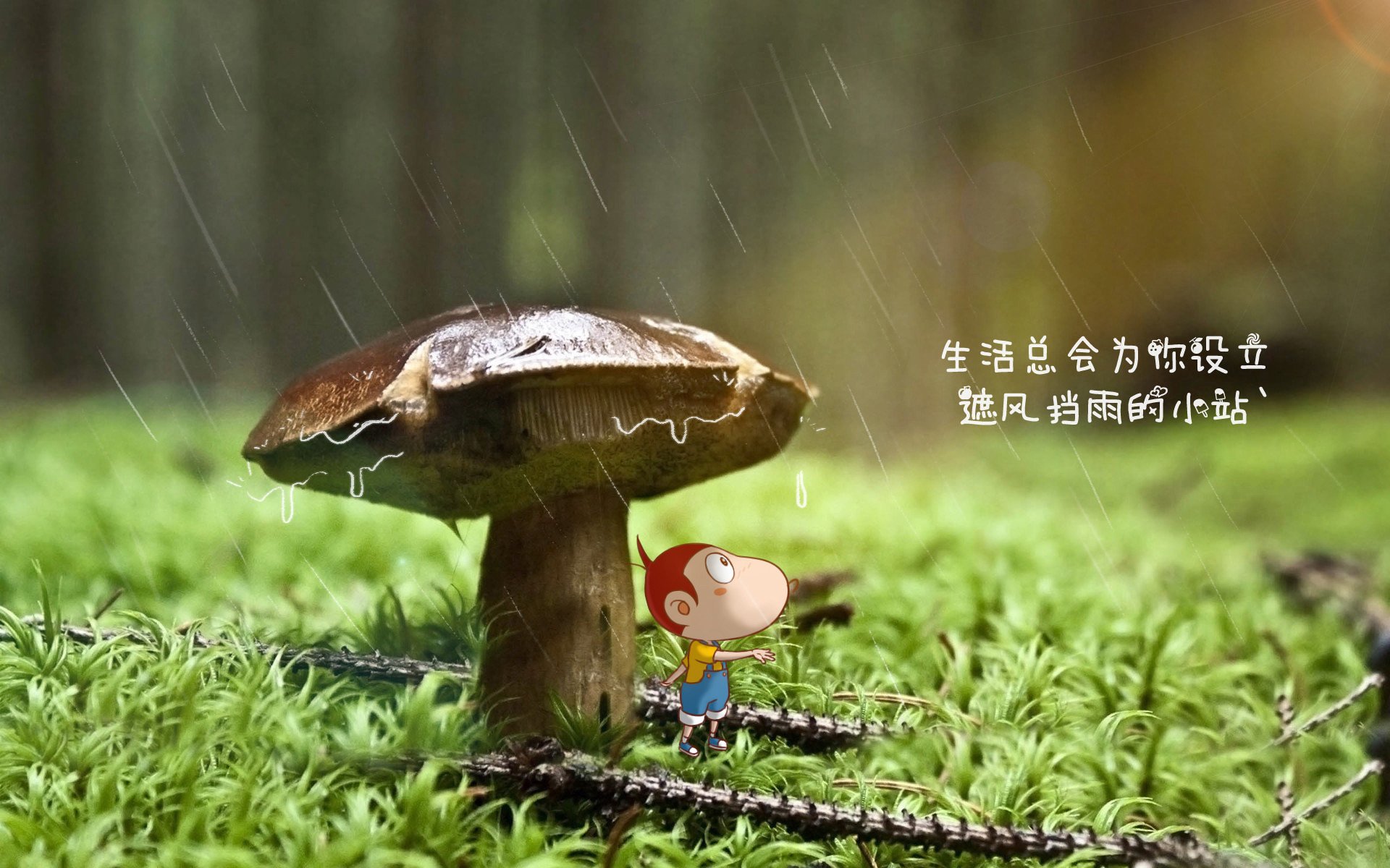 世俱杯赛程-_夜市嘉年华：灯火辉煌中的全民趣味挑战_，有关夜市的主题活动名称