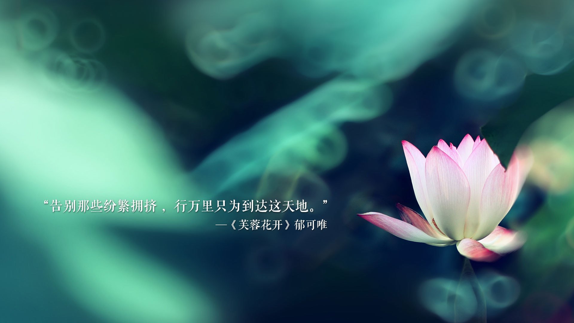 凯尔特人后卫线防守强度大增，凯尔特人队后卫