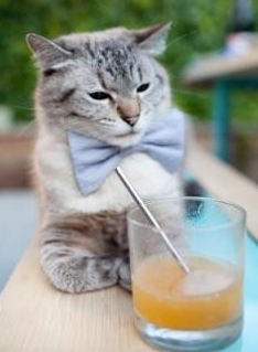 塞维利亚主场惜败,积分略有落后,塞维利亚晋级