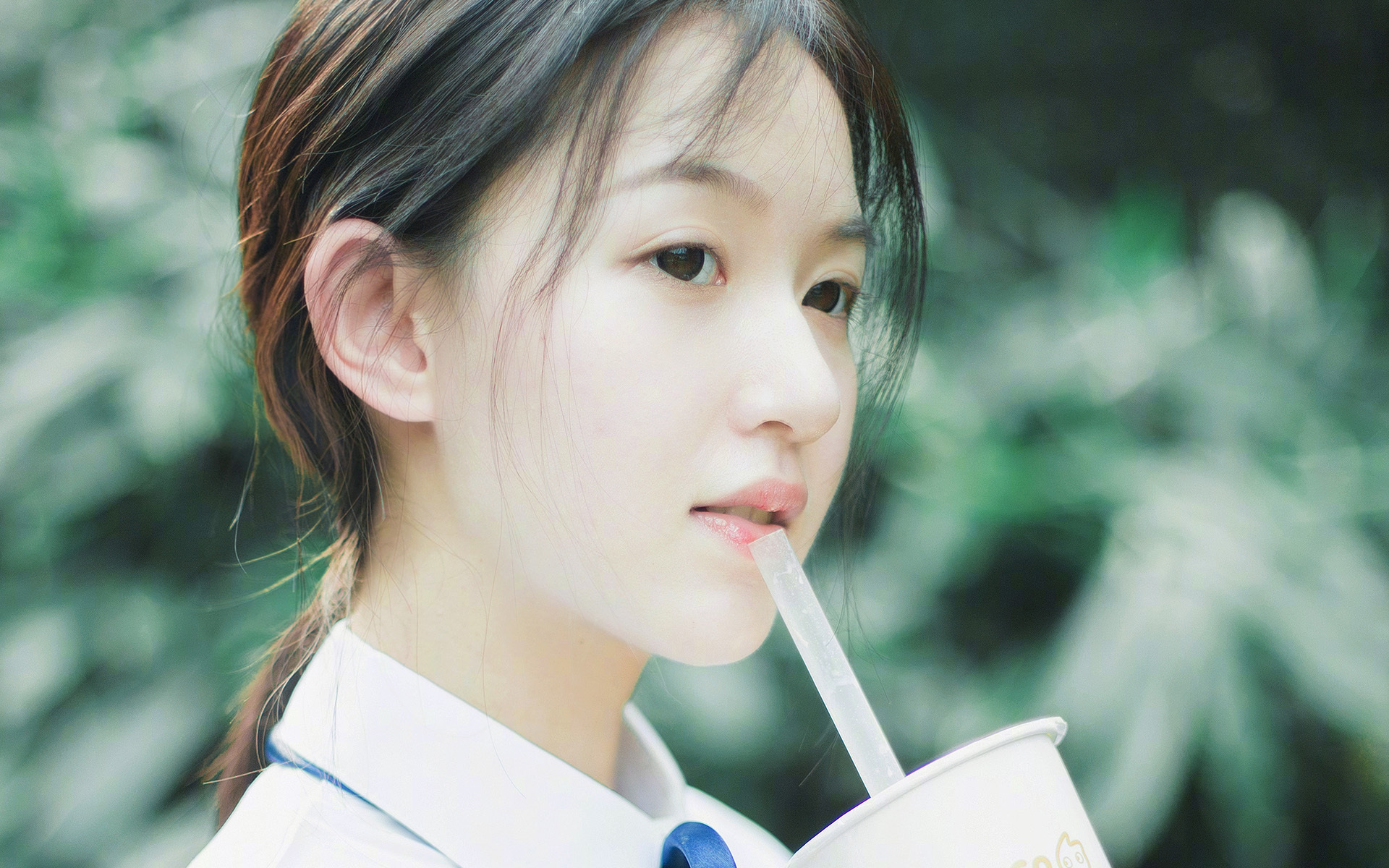 意大利赢得欧洲杯冠军，国内球迷欢欣鼓舞，意大利最近一次拿欧洲杯冠军