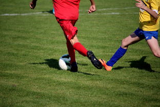 2025世俱杯赛程-世界台球联赛中国队勇夺团体亚军，世界台球联赛中国队勇夺团体亚军是谁