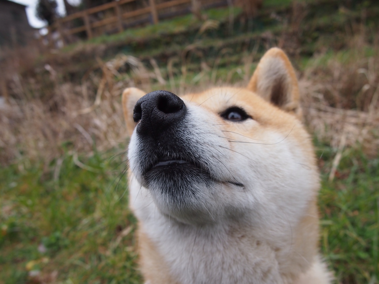 体育心理学:冠军心理打造的秘密武器,体育心理学 季浏