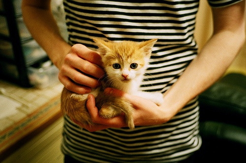 篮球运动员比赛心理压力缓解方法探讨,篮球运动员心理素质