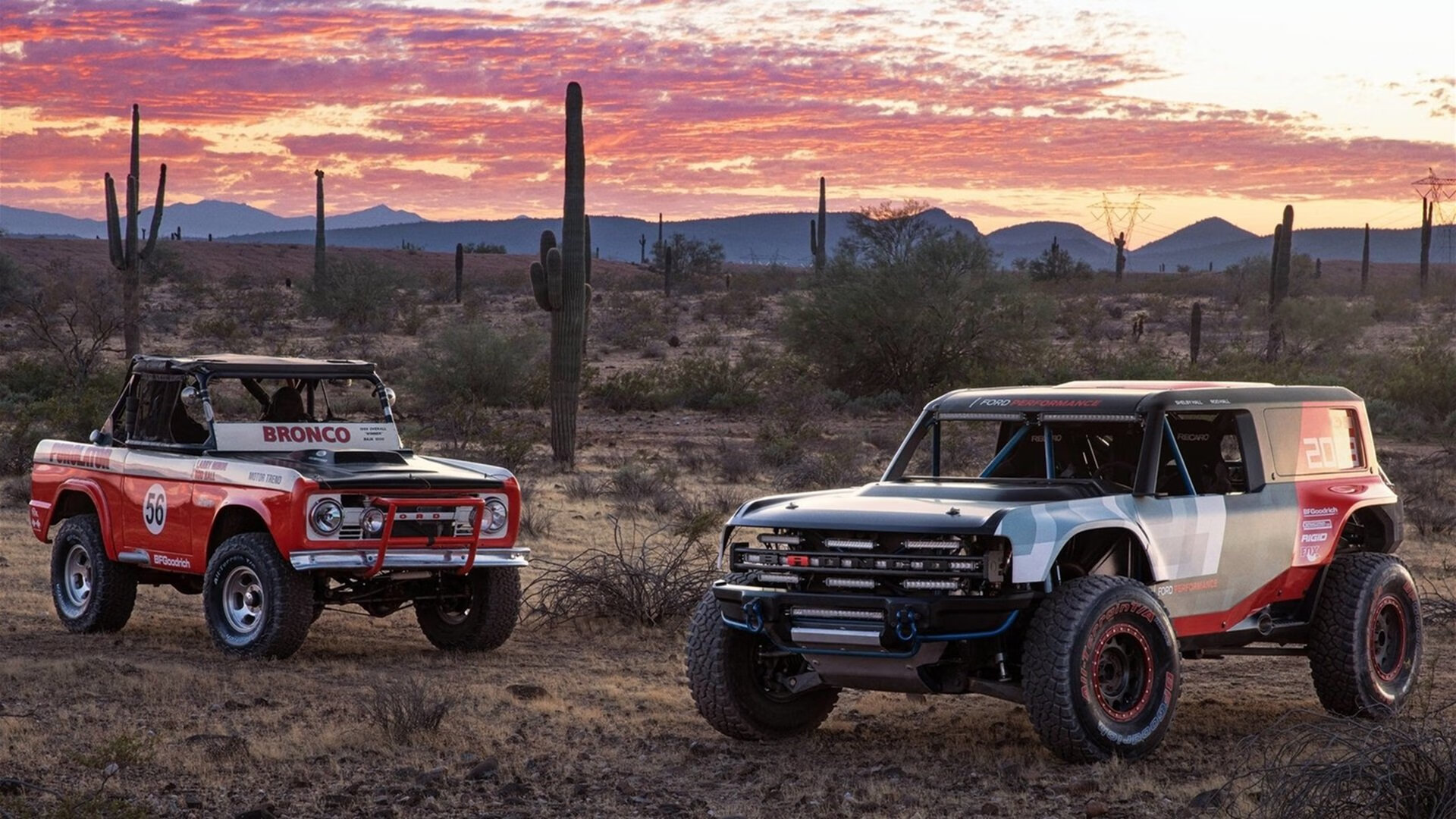 讲述足球传奇:那些永不过时的经典故事,足球的传奇人物